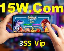 Security Systems 3SS Vip